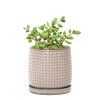 Modern Beige Textured Ceramic Flower Pot – Wholesale Patterned Indoor Planter with Drainage (5)