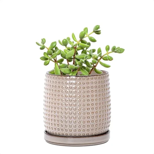 Modern Beige Textured Ceramic Flower Pot – Wholesale Patterned Indoor Planter with Drainage (5)