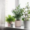 Modern Beige Textured Ceramic Flower Pot – Wholesale Patterned Indoor Planter with Drainage (6)