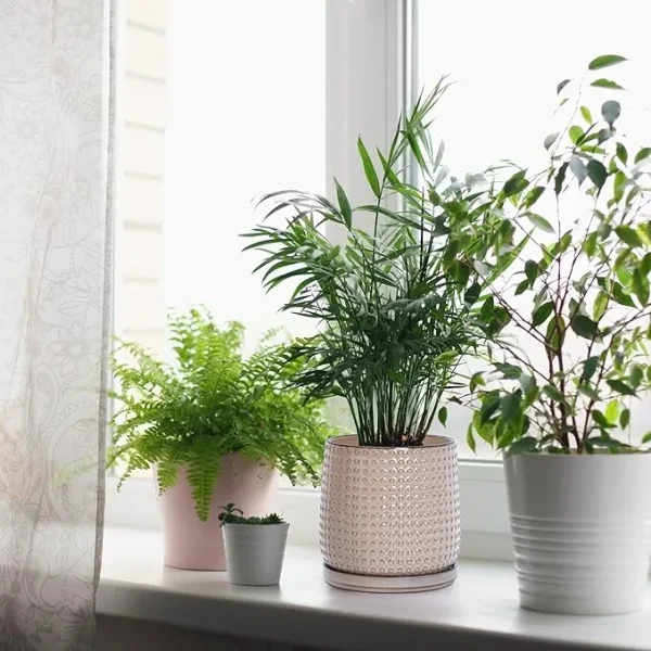 Modern Beige Textured Ceramic Flower Pot – Wholesale Patterned Indoor Planter with Drainage (6)