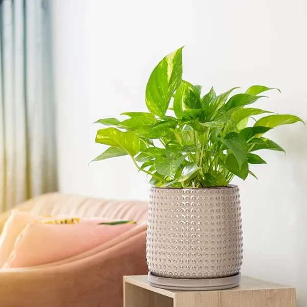 Modern Beige Textured Ceramic Flower Pot – Wholesale Patterned Indoor Planter with Drainage (8)