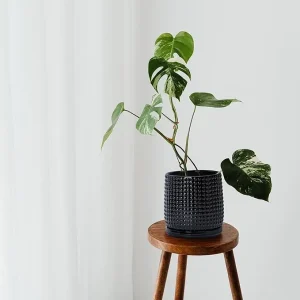 Modern Black Textured Ceramic Flower Pot with Drainage (1)