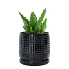Modern Black Textured Ceramic Flower Pot with Drainage (2)