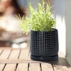 Modern Black Textured Ceramic Flower Pot with Drainage (3)