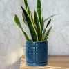 Modern Dark Blue Textured Ceramic Flower Pot – with Drainage (6)