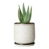 Modern White Textured Ceramic Flower Pot with Drainage (4)