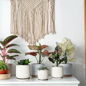 Modern White Textured Ceramic Flower Pot with Drainage (7)