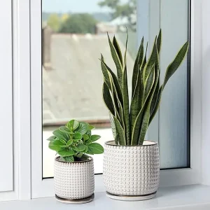 Modern White Textured Ceramic Flower Pot with Drainage (8)