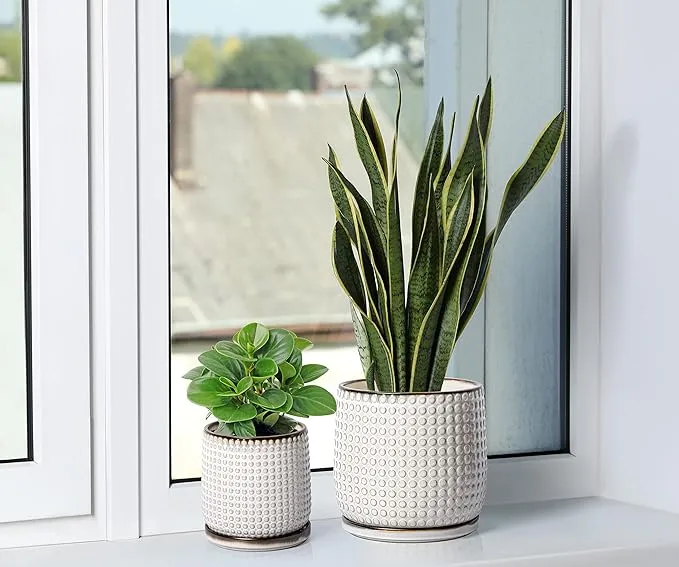 Modern White Textured Ceramic Flower Pot with Drainage (8)