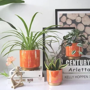 Orange Gradient Ceramic Planter Set – Wholesale Iridescent Pots with Gold Base for Succulents (1)