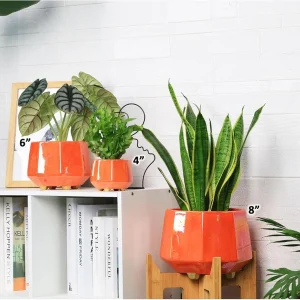 Bright Orange Ceramic Planter Set (4)