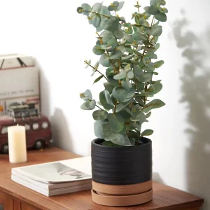 Matte Black Ceramic Planter with Terracotta Base (6)