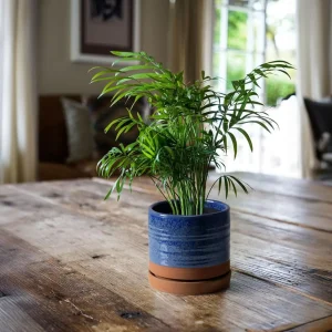 Modern Blue Ceramic Planter with Terracotta Base (5)