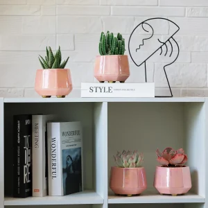 Pink Iridescent Ceramic Planter Set (4)