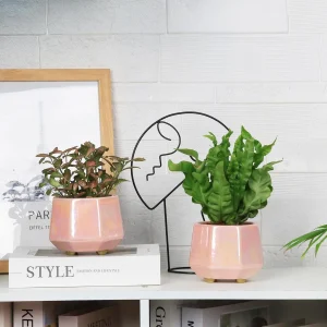 Pink Iridescent Ceramic Planter Set (5)
