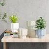 Wholesale Glossy Ceramic Flower Pots for Small Plants