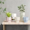 Wholesale Glossy Ceramic Flower Pots for Small Plants
