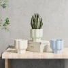 Wholesale Glossy Ceramic Flower Pots for Small Plants