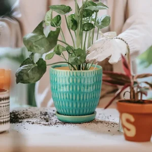 Embossed Green Ceramic Planter Wholesale (6)