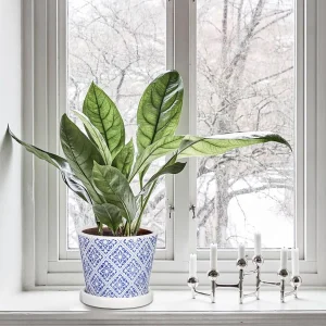 Wholesale Blue and White Pattern Ceramic Flower Pots