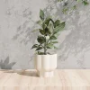 Wholesale Cream White Ceramic Flower Pots for Plants (1)