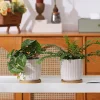 Wholesale Pattern Ceramic Flower Pots (3)