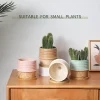 Wholesale Two-Tone Pattern Ceramic Flower Pots (2)