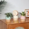 Wholesale Two-Tone Pattern Ceramic Flower Pots (5)