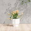 Wholesale White Ceramic Flower Pots for Plants (2)