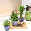 Blue Ceramic Flower Pots –Succulent Planters for Wholesale