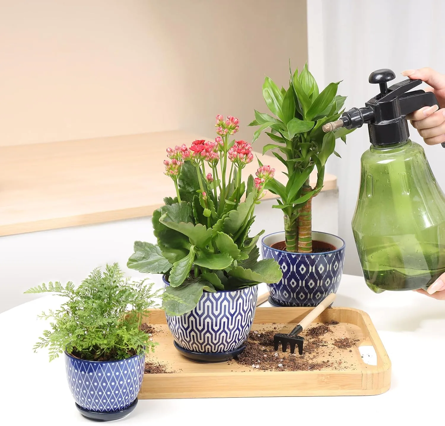 Blue Ceramic Flower Pots –Succulent Planters for Wholesale