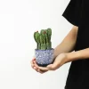 Blue Ceramic Flower Pots –Succulent Planters for Wholesale