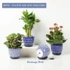 Blue Ceramic Flower Pots –Succulent Planters for Wholesale