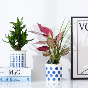 Wholesale Blue Pattern Ceramic Flower Pots