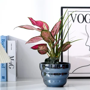 Wholesale Ceramic Flower Pots – Metallic Glossy Pattern Planters in Bulk