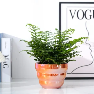 Wholesale Ceramic Flower Pots – Metallic Glossy Pattern Planters in Bulk