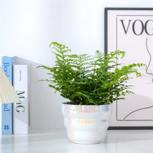 Wholesale Iridescent Ceramic Flower Pots