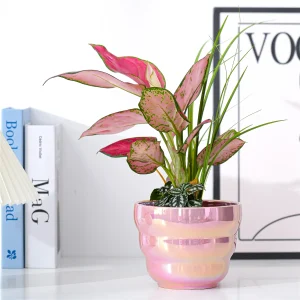 Wholesale Iridescent Ceramic Flower Pots