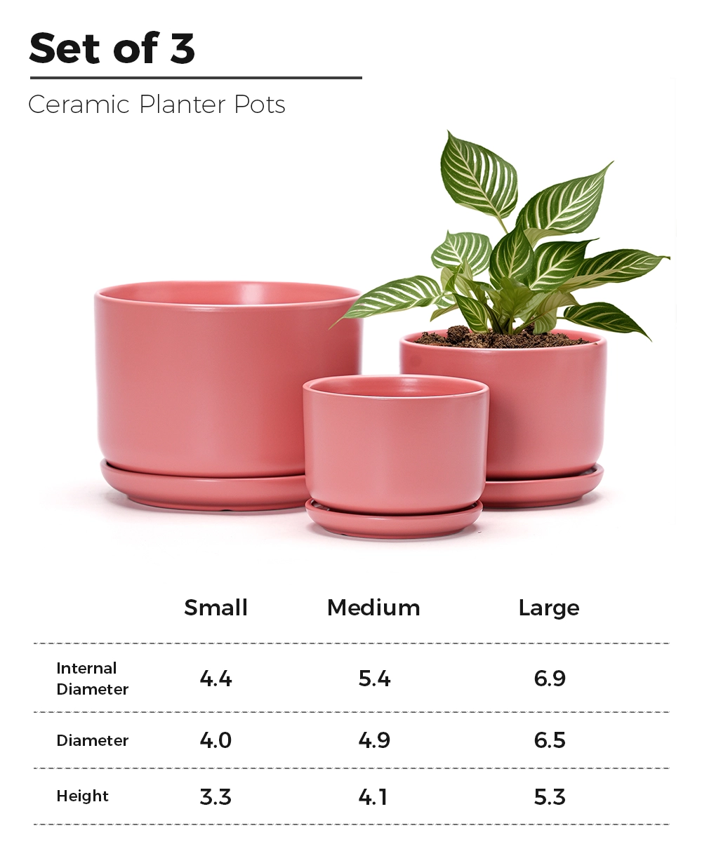 Wholesale Matte Pink Ceramic Flower Pots – Modern Planters in Bulk (1) Wholesale Matte Pink Ceramic Flower Pots – Modern Planters in Bulk (1)