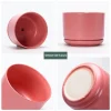 Wholesale Matte Pink Ceramic Flower Pots – Modern Planters in Bulk (2)