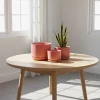 Wholesale Matte Pink Ceramic Flower Pots – Modern Planters in Bulk (3)