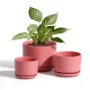 Wholesale Matte Pink Ceramic Flower Pots – Modern Planters in Bulk (4)
