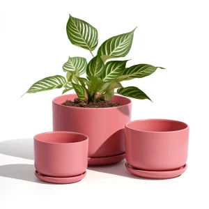 Wholesale Matte Pink Ceramic Flower Pots – Modern Planters in Bulk (4)