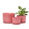 Wholesale Matte Pink Ceramic Flower Pots – Modern Planters in Bulk (5)
