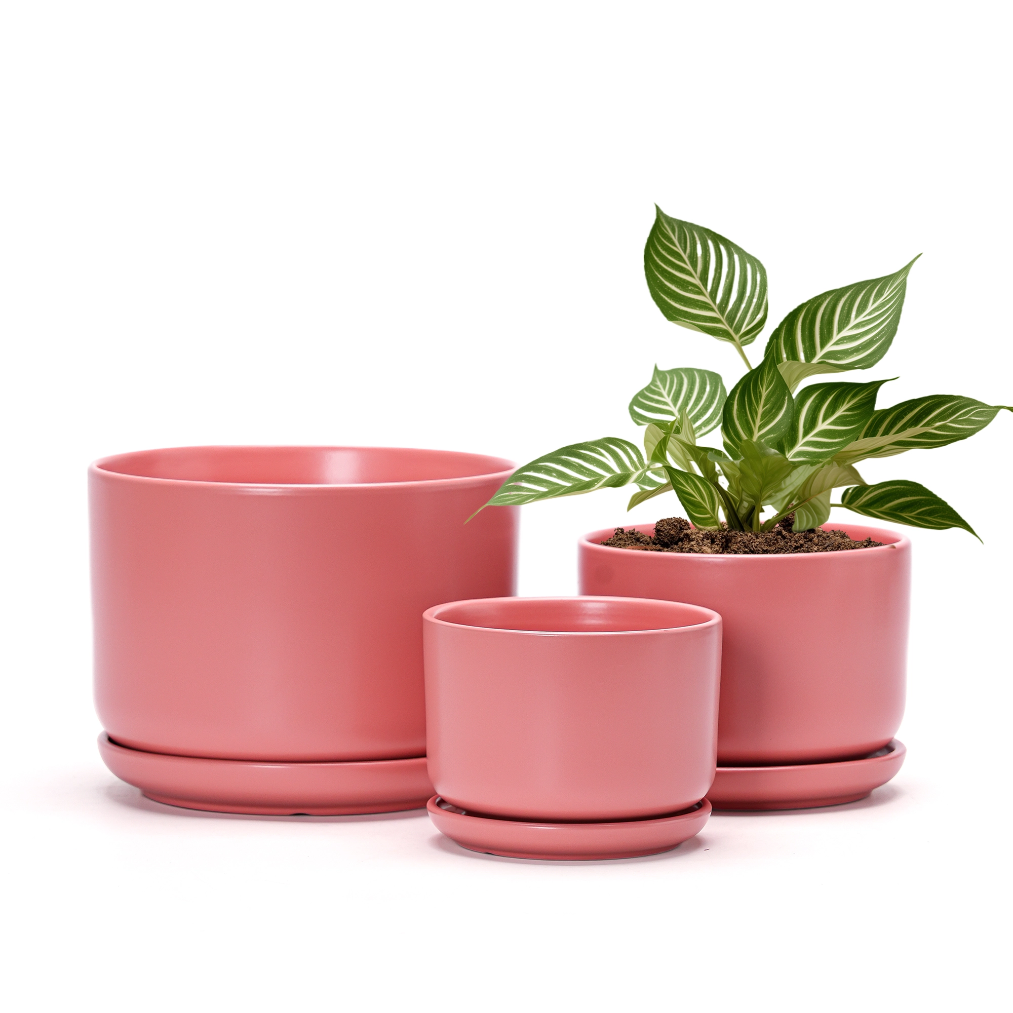 Wholesale Matte Pink Ceramic Flower Pots – Modern Planters in Bulk (5) Wholesale Matte Pink Ceramic Flower Pots – Modern Planters in Bulk (5)