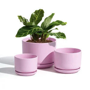 Wholesale Matte Sakura Pink Ceramic Flower Pots – Modern Planters in Bulk