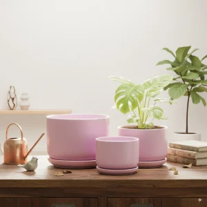 Wholesale Matte Sakura Pink Ceramic Flower Pots – Modern Planters in Bulk