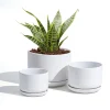 Wholesale Matte White Ceramic Flower Pots – Modern Planters with Saucers in Bulk (1)