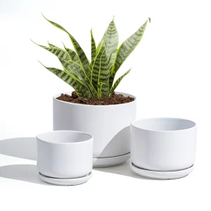 Wholesale Matte White Ceramic Flower Pots – Modern Planters with Saucers in Bulk (1)