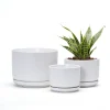 Wholesale Matte White Ceramic Flower Pots – Modern Planters with Saucers in Bulk (3)